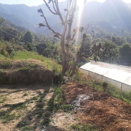 Parvatiya Homestay Mussoorie Dış mekan fotoğraf