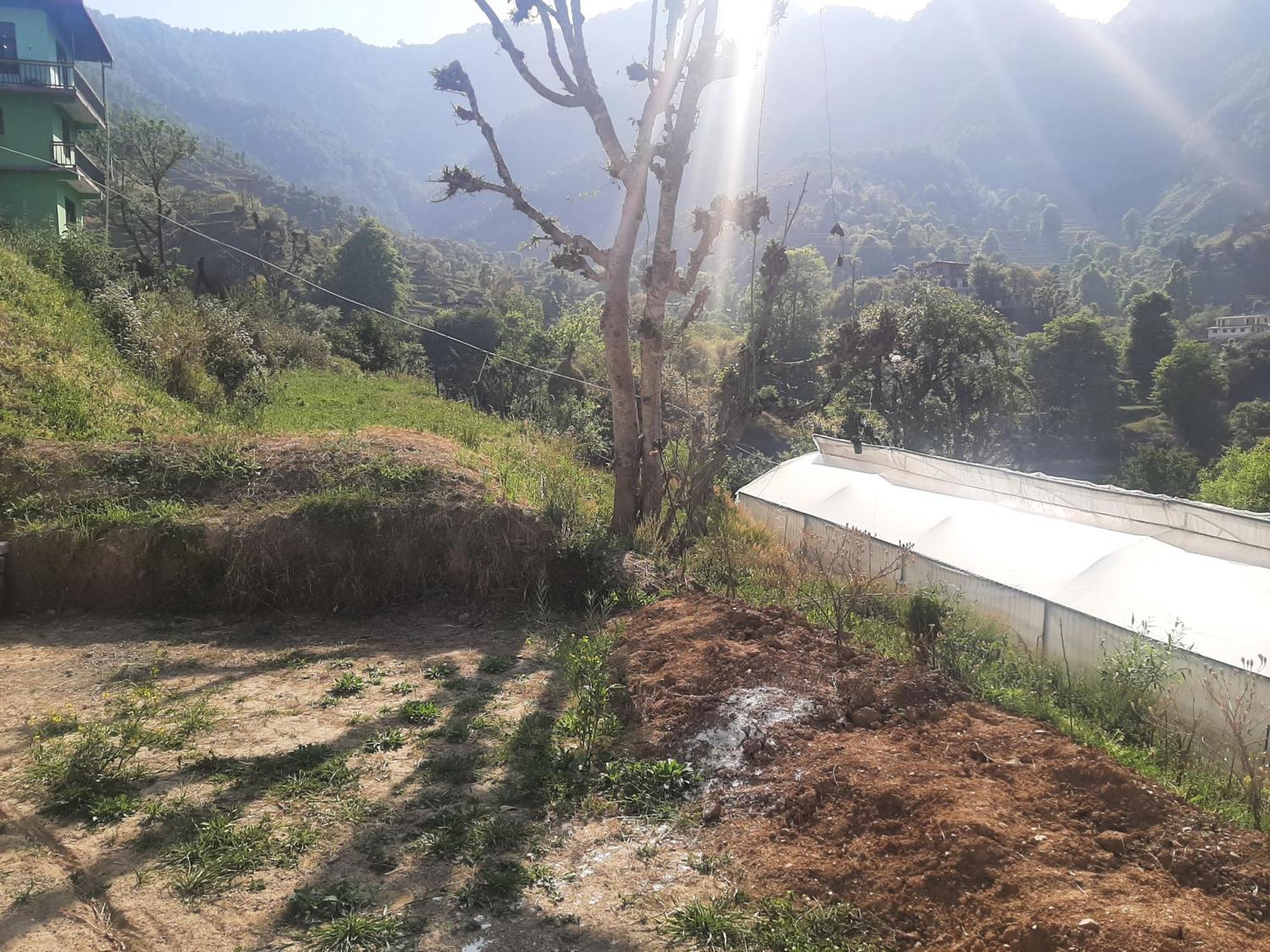 Parvatiya Homestay Mussoorie Dış mekan fotoğraf